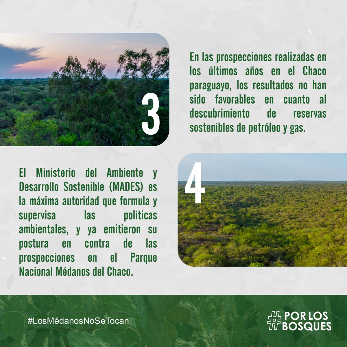 ParaguaySalvaje's tweet photo. Imagínate un paisaje único, lleno de dunas, vida silvestre y aire puro. Eso es lo que representa este maravilloso parque, y ahora enfrenta una amenaza inminente. https://t.co/EDv2Znf9Ku