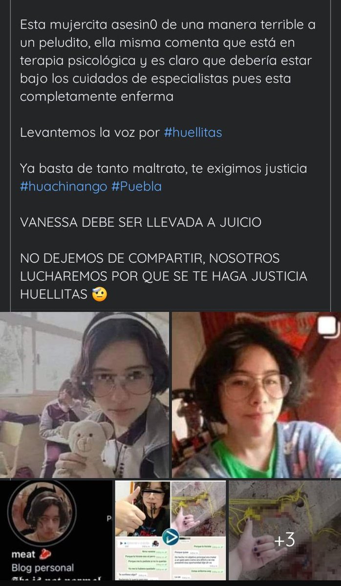 ariasu_no's tweet photo. Ya basta de tratar a los animales como si su vida no valiera‼️ #Justiciaparahuellitas @GobiernoMX @GobCDMX https://t.co/Tm9q5m3sM4