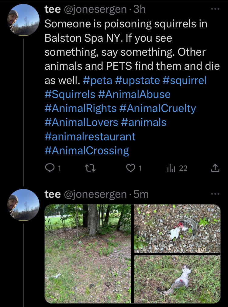 tee tweet media