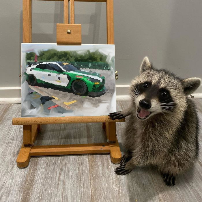 15kyleh's tweet image. I know raccoons are talented, but this is just getting ridiculous