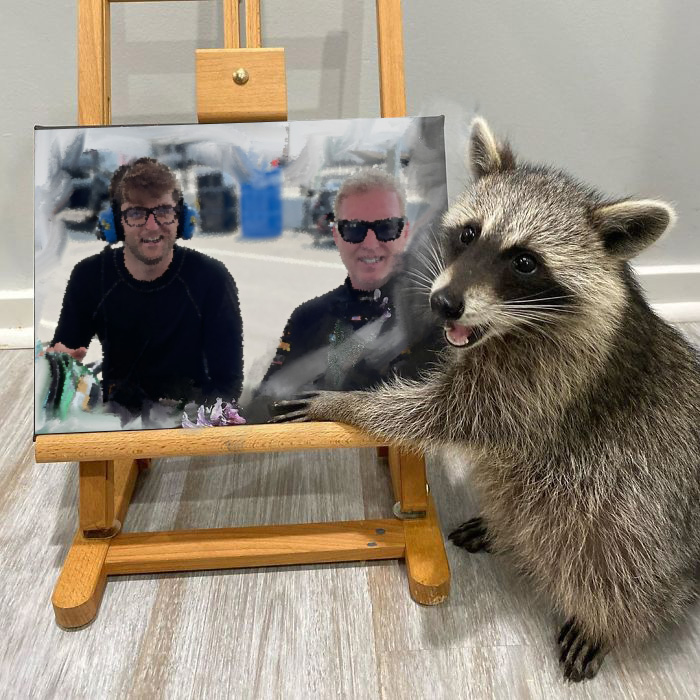 15kyleh's tweet image. I know raccoons are talented, but this is just getting ridiculous