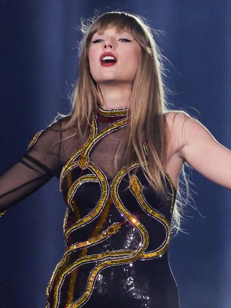 darren (taylor's version) on Twitter "🐍 Tonight's 'reputation' outfit