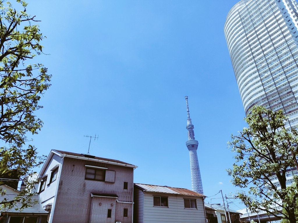 おはようございます！現在の墨田区は晴れ☀気温は27.7℃
カラッと晴れていて、洗濯日和です😊真夏日予報でてますので、暑さ対策をして、今日も一日頑張りましょう！
本日は10:00~21:00で営業しております☕
#東京 #墨田区 #イマソラ 
#企業公式が毎朝地元の天気を言いあう 
#がんばろう企業公式