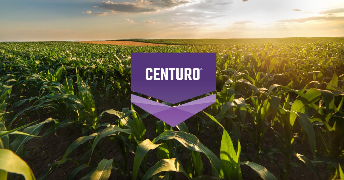 Keep your nitrogen where you need it. CENTURO nitrogen stabilizer offers highly effective below-ground nitrogen protection, optimizing the availability for plant uptake and boosting nitrogen use efficiency. Learn more on how CENTURO can work for you: bit.ly/4676V0E