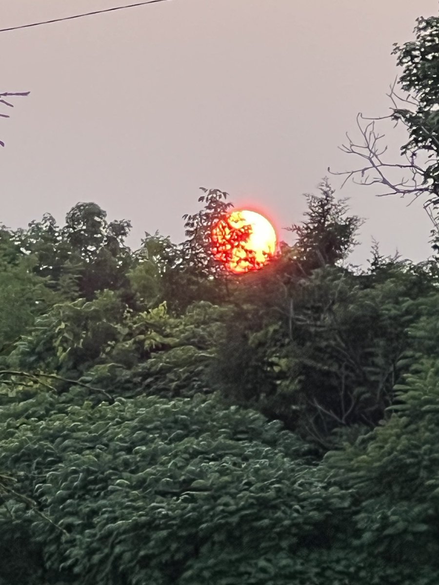 The Canadian smoke has turned the setting sun into a glowing orange ball, but it's too bright for the camera lens to take in.