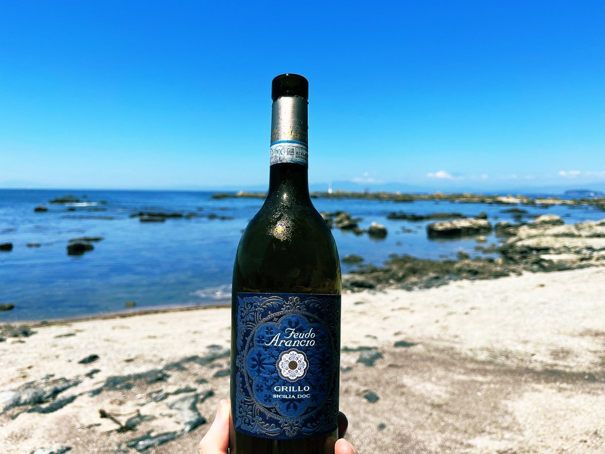 Defence_1031_'s tweet photo. 今日も今日とて浜飲酒 https://t.co/0gB7RixO94
