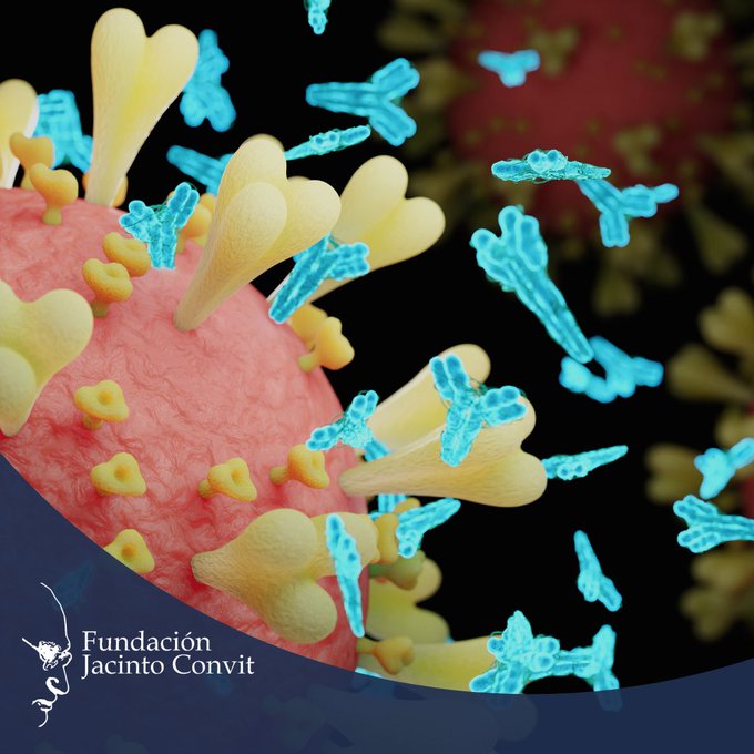 jacintoconvit's tweet photo. Los #AnticuerposMonoclonales también se pueden utilizar como una #Inmunoterapia. Por ejemplo, algunos anticuerpos monoclonales atacan a proteínas específicas de las células cancerosas.

Lee más https://t.co/OjXJQEx5Sp

#Cáncer https://t.co/zoIwW4mwgR