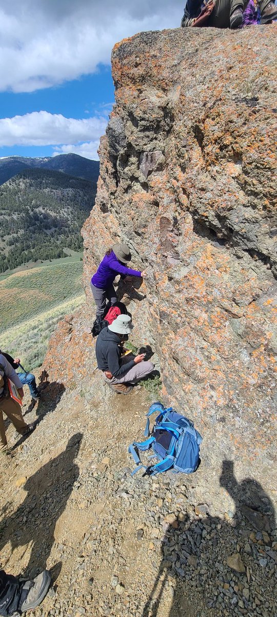 Idaho State University's field camp...igneous week. Playing in the Challis volcanics. <a href="/SENawotniak/">Shannon Nawotniak</a> teaching students about lahar deposits. #geologyrocks #phdlife