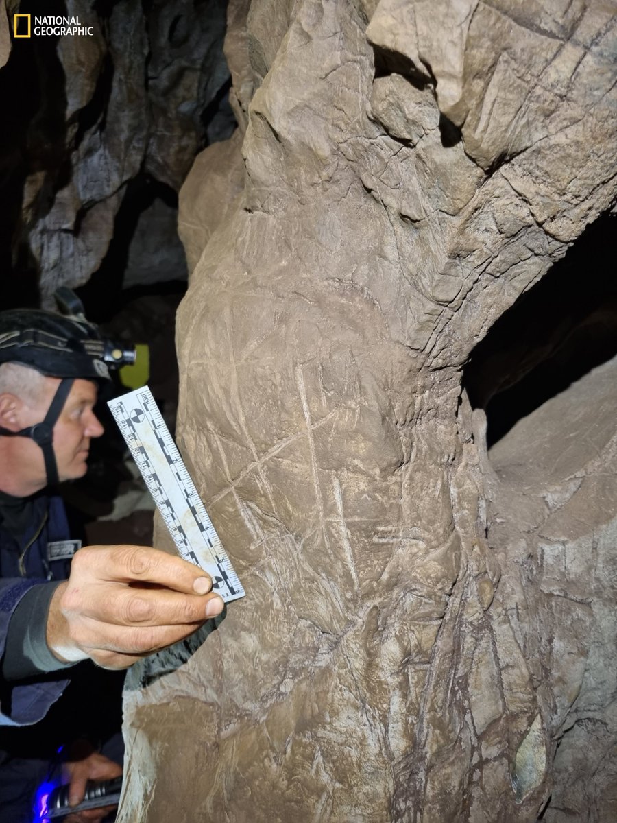 Deep within this South African cave system, a creature - #homonaledi navigated the darkness using #fire to reach possible #ritual spaces to #bury their dead, #engraving the walls above them with #meaningmaking symbols. 

What does it all mean? 

worldofpaleoanthropology.org/2023/06/05/274…