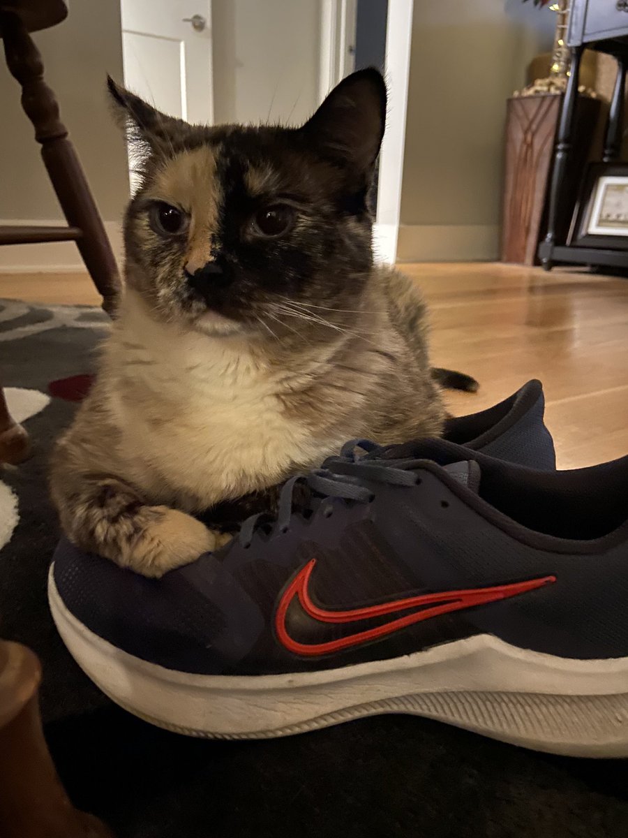 Joe Dadswell tweet media