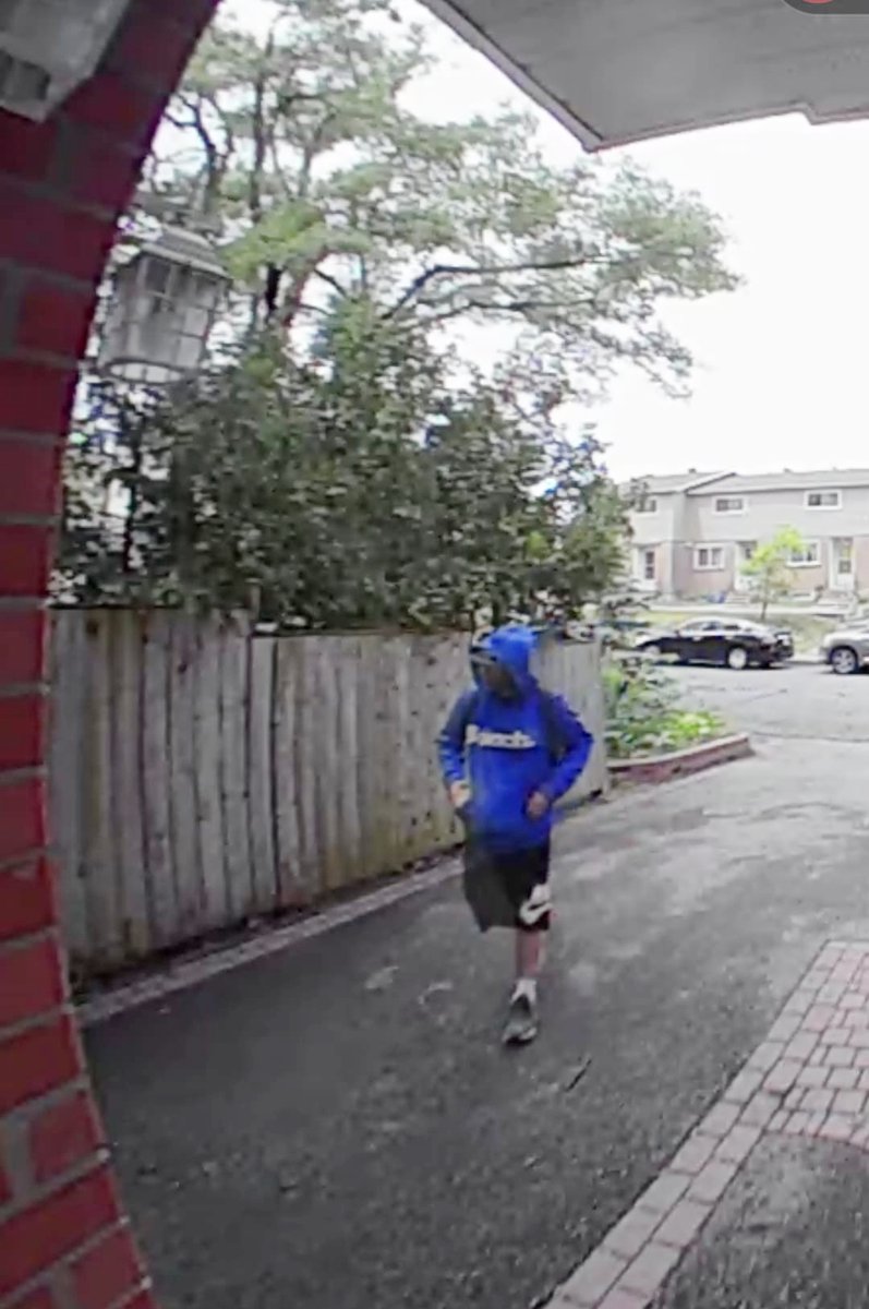 Watch out for this porch pirate, #Ottawa folks! He took a parcel from our doorstep in #Carlington this week and I'm sure I was not the only one. Any leads would be greatly appreciated! #ottcity #ottnews