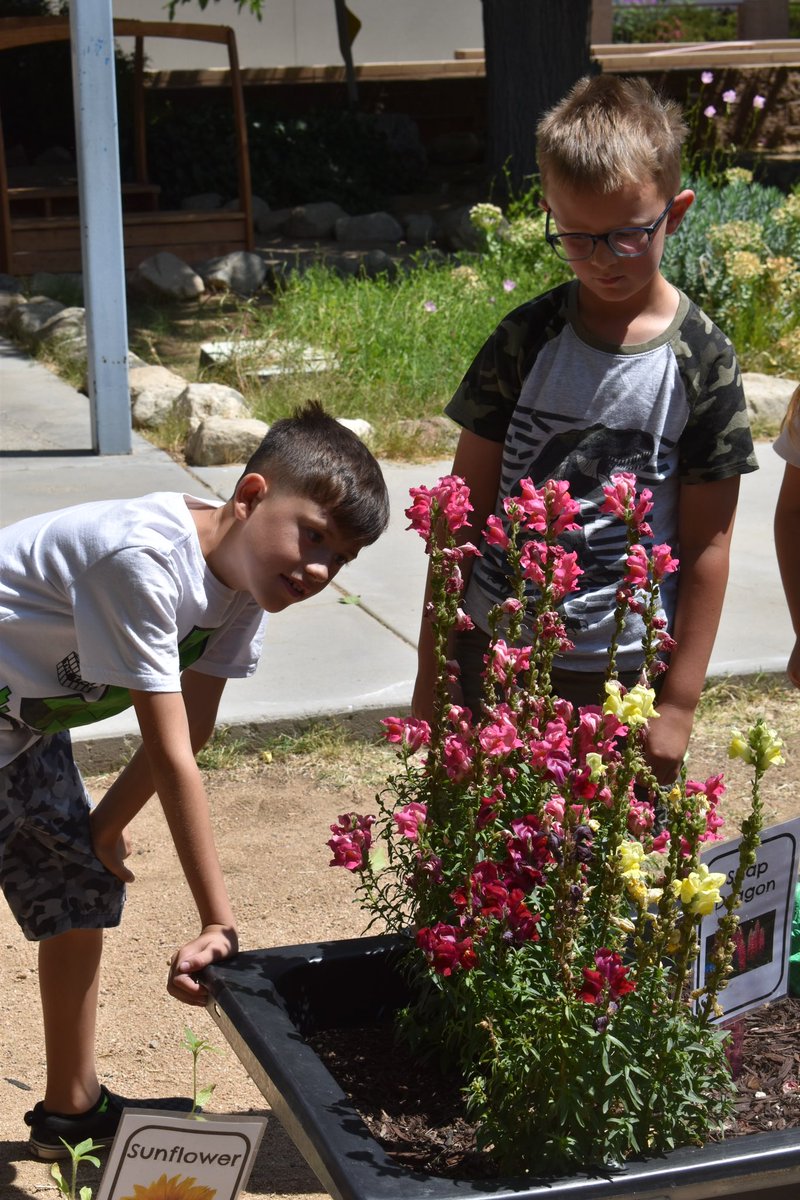 Morongo Unified School District tweet media