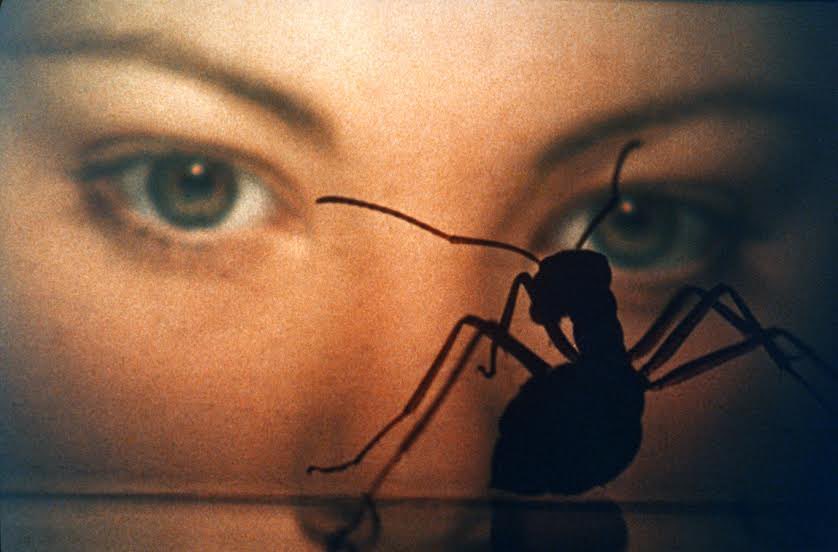 GabeCrate's tweet image. #PhaseIV, 1974 ☢️ review/rating on timeline ☢️ couldn’t find streaming “free.” 3.99 rental with most services.