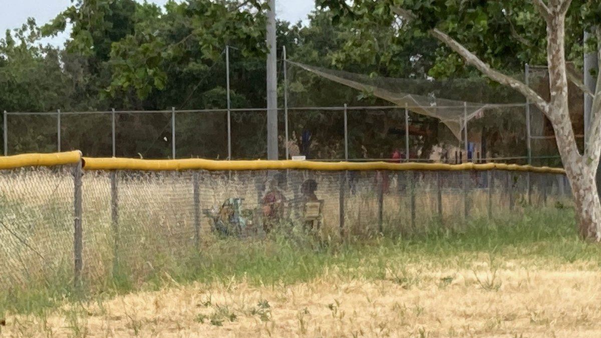 OurSuburb's tweet photo. @SaveDelPasoPark Where is the dislike button? Totally preventable!!! https://t.co/bxsnMLjYdb