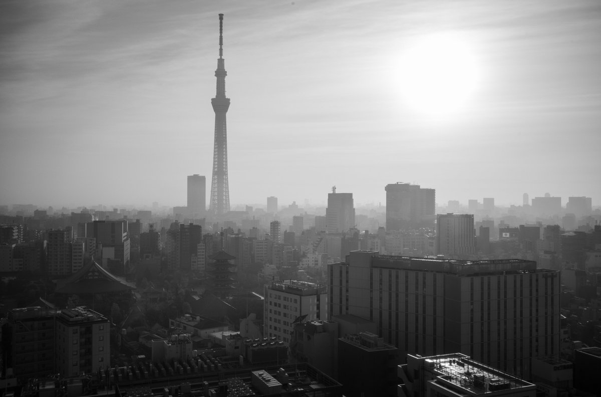 SUMMICRON-M 35mm f/2 ASPH.  
#Leica 
#ライカ 
#浅草 
＃浅草ビュー　
＃浅草寺　
 #monochrome 
#Tokyo 
#過去写真 
＃東京スカイツリー　

LEICA M10 Monochrom