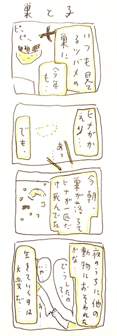 巣と子
