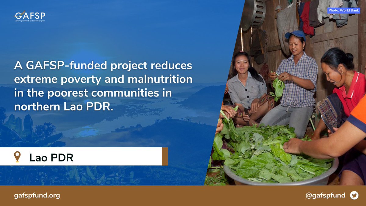 Undernutrition & food insecurity in #LaoPDR remain severe. #GAFSP invested $30 million to…
🔵raise agricultural productivity
🔵link farmers to markets
🔵develop institutional capacity to provide farmer families with food security

More: bit.ly/3X0PXwD