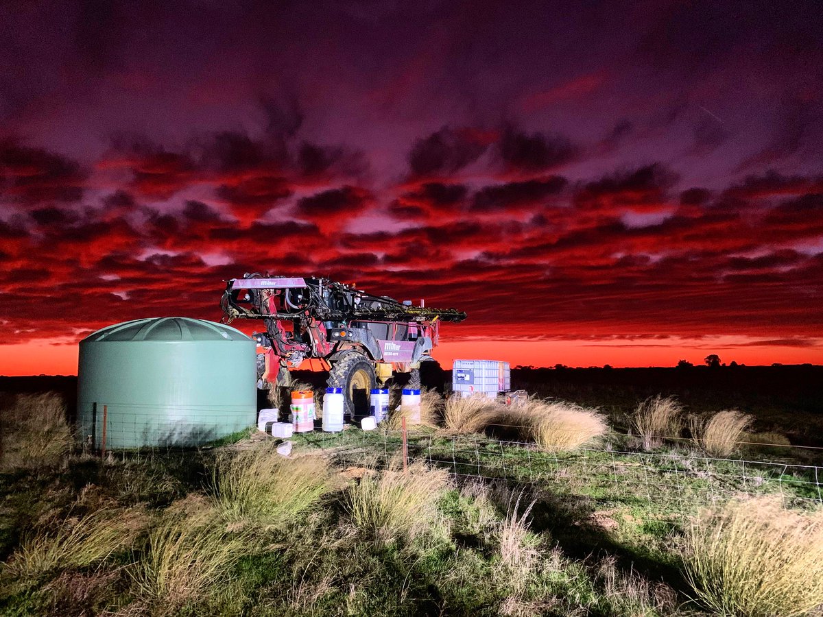 Mark Merrett (@merrettcontract) on Twitter photo Awesome sunrise this morning on the last day of barley (hopefully🤞🏼😅)
#seedingwithmiller2023 <a href="/MillerSpray_au/">Miller Spraying Australia</a> Awesome sunrise this morning on the last day of barley (hopefully🤞🏼😅)
#seedingwithmiller2023 <a href="/MillerSpray_au/">Miller Spraying Australia</a>