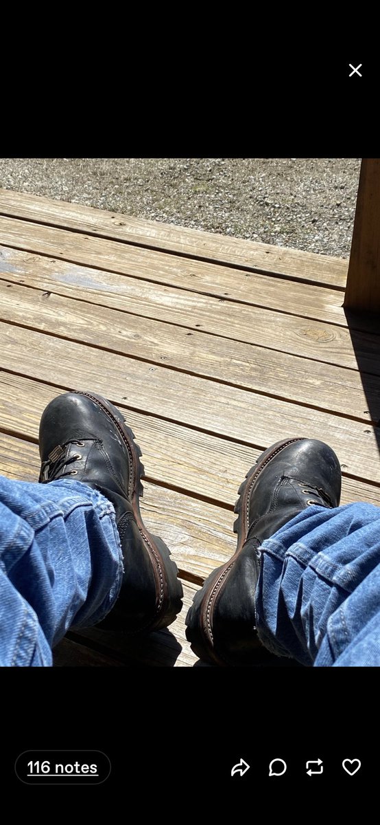 Loggerbootguy802 tweet media