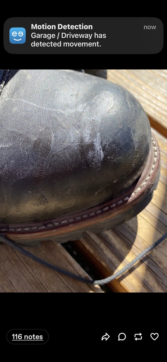 Loggerbootguy802 tweet media