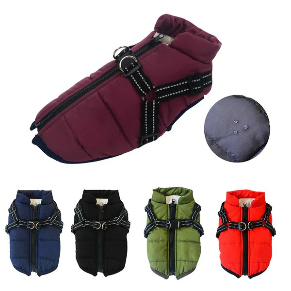 PawfectHarness's tweet photo. 🐕The Pawfect Winter Coat-  Keep your furry friend warm and cozy this winter season with our waterproof &amp; stylish dog jacket. Made with 100% cotton, this jacket is not only comfortable, but also durable enough to withstand the harsh winter weather

👉https://t.co/NpBATKfKYO

#dog https://t.co/iFWoiOcoBB