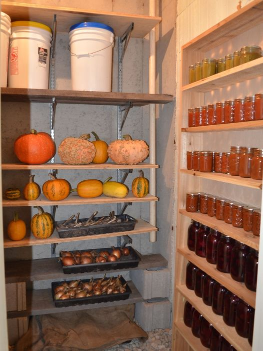AugustNeverman4's tweet image. Wouldn&apos;t it be nice to have a well stocked root cellar this fall?
Build new or rework basement space for storage. We just used up the last of the potatoes and onions that we stored in our root cellar in September 2022.
You can have a root cellar too - commonsensehome.com/root-cellars-1…