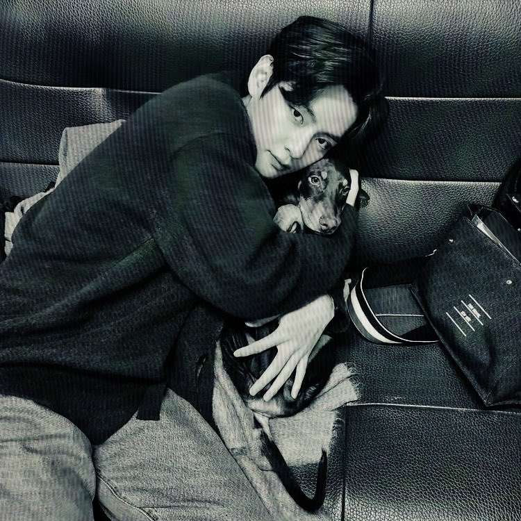 dittcore's tweet image. 回到家，在我最小的儿子格罗古的陪伴下。