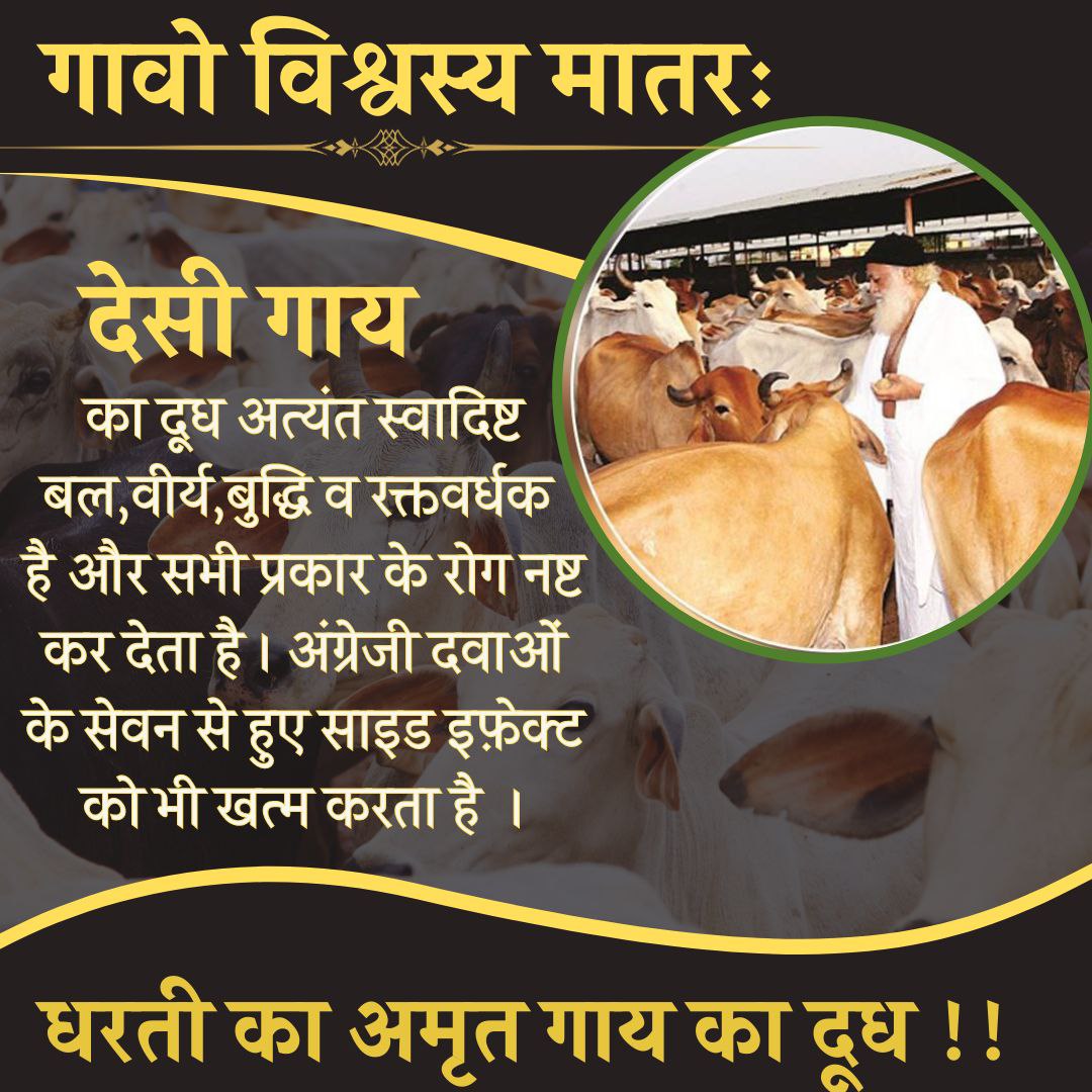 #गावो_विश्वस्य_मातरः 

Sant Shri Asharamji Bapu always inspires for cow service & explains Benefits of Desi Gaay

He told us धरती का अमृत है Desi Cow's milk. There is no other nutritious food like CowMilk. It has been considered a complete diet,easy to digest n disease preventive