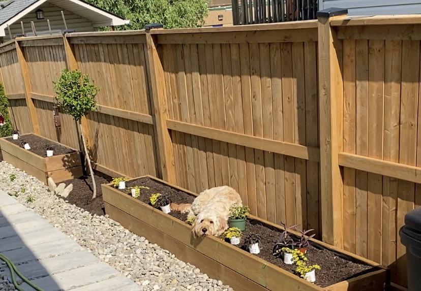 🌺 Havana dog's dream in the flower pergola, bringing comfort and sweetness to your pet! ✨
#HavanaDog #FlowerPergola #CozyNapSpot #PetParadise #DreamyPets #PamperedPooch #AdorableDog #RelaxationStation #PetComfort #SweetDreams
shop👉dogdesignershop.com