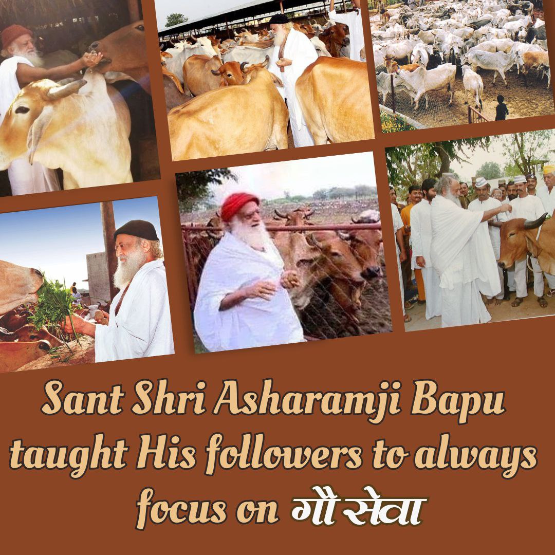 Sant Shri Asharamji Bapu saved several cows from going to slaughter house and gave them shelter with the principle motto of #गावो_विश्वस्य_मातरः 
Benefits of Desi Gaay are many their diary products are धरती का अमृत है...