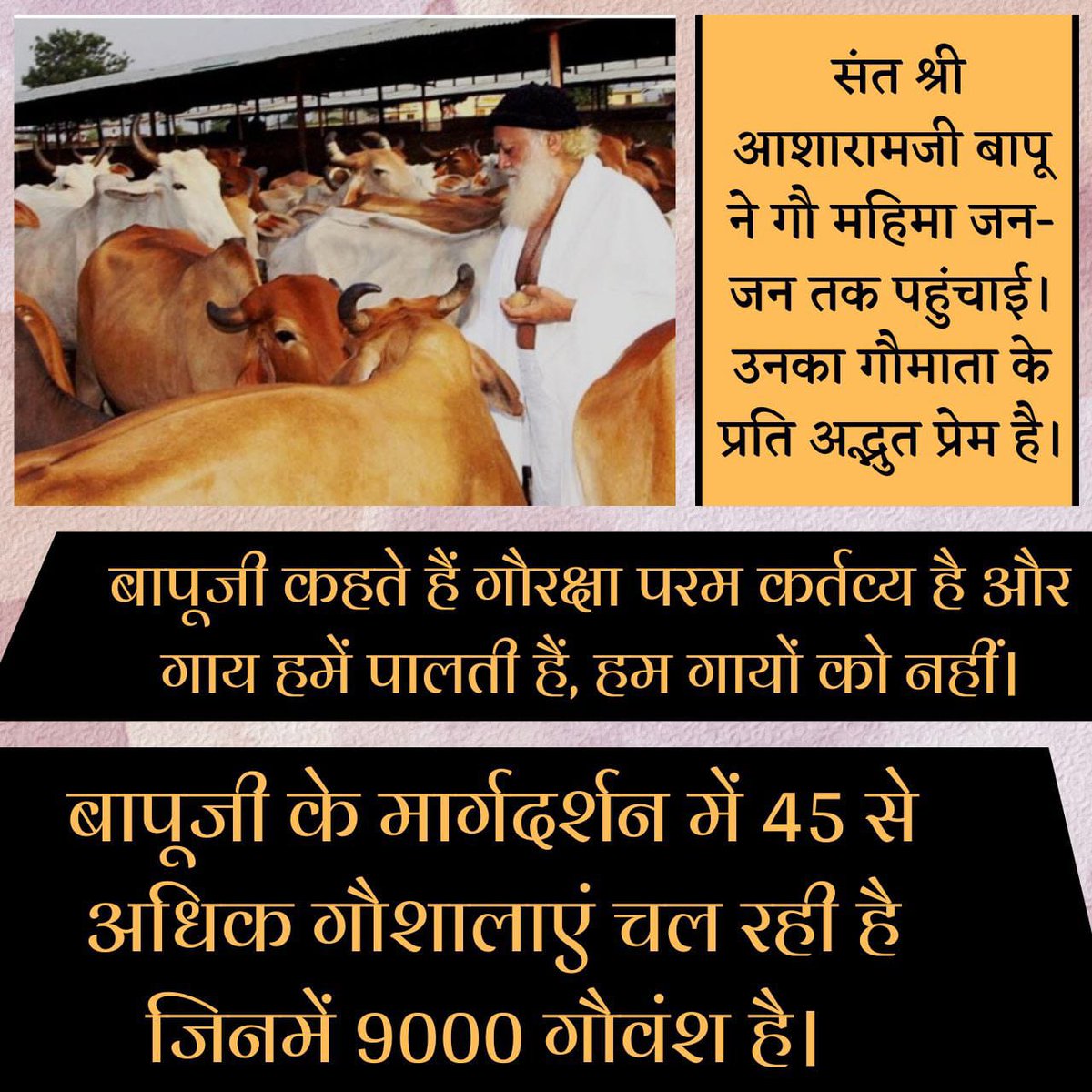#गावो_विश्वस्य_मातरः
Sant Shri Asharamji Bapu inspire us to take Benefits of Desi Gaay, whose milk is धरती का अमृत bcoz it is full of protein,vitamin,helpful to grow inner strongness
Even it's urine, dung cake also useful in crops,medicine,for pure air etc.