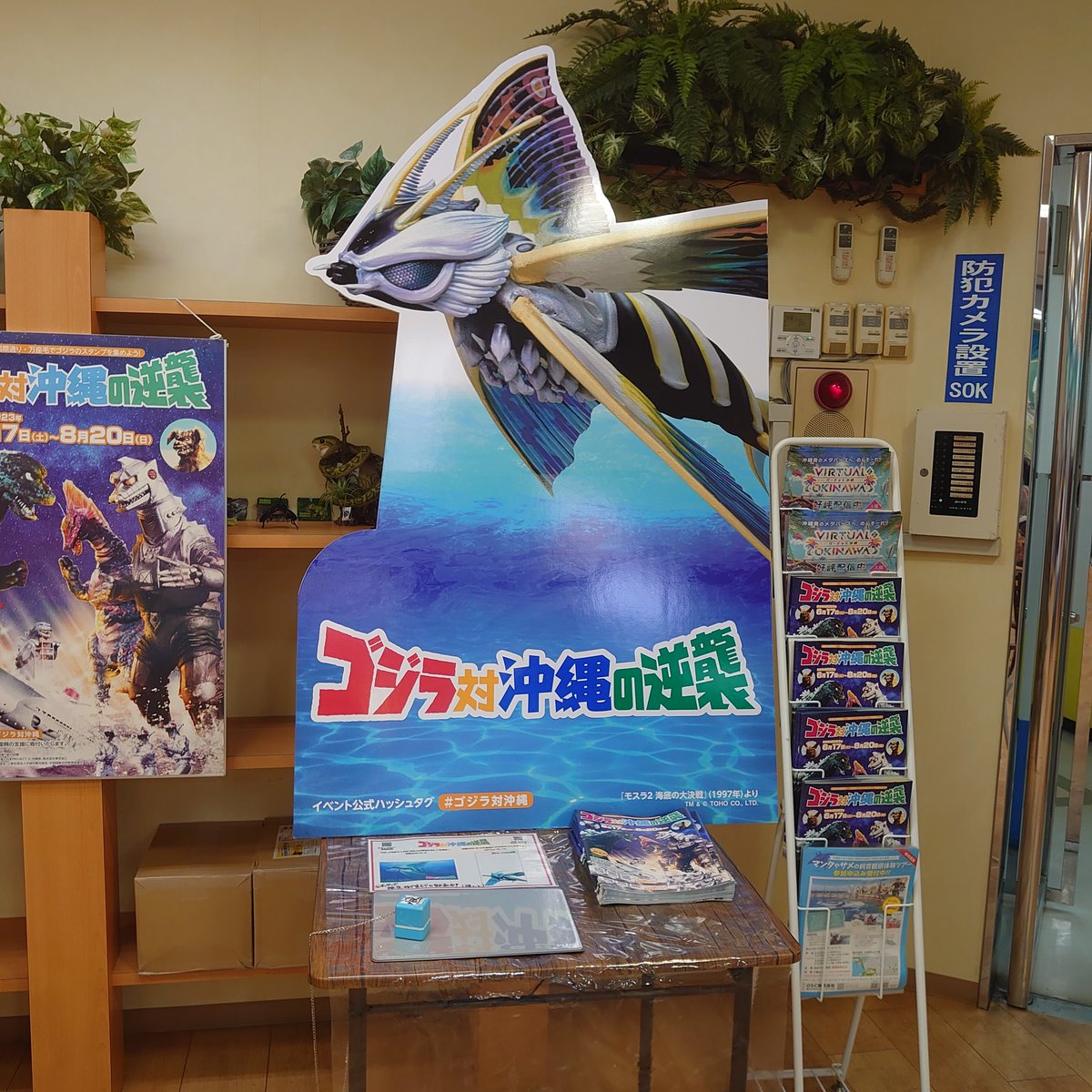 最大64%OFFクーポン 沖縄限定 ゴジラ対沖縄の逆襲公式グッズ クリア