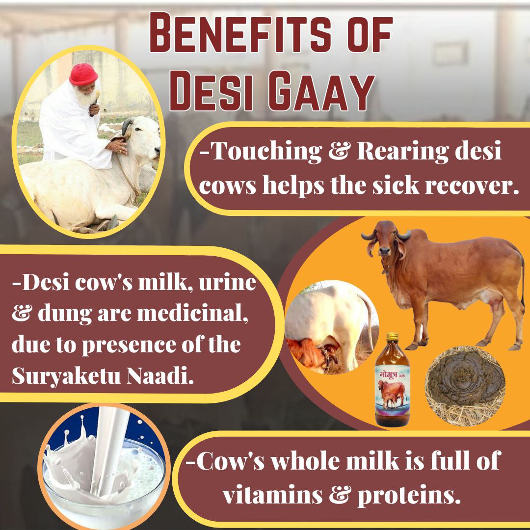 Benefits of Desi Gaay :
British Medical Research Council Declared that Pure & Fresh Cow Milk is Full of Beneficial & Nutritious Elements than All other Diets = धरती का अमृत
Sant Shri Asharamji Bapu has told Benefits of Gau Sewa
Cow must protected .
#गावो_विश्वस्य_मातरः