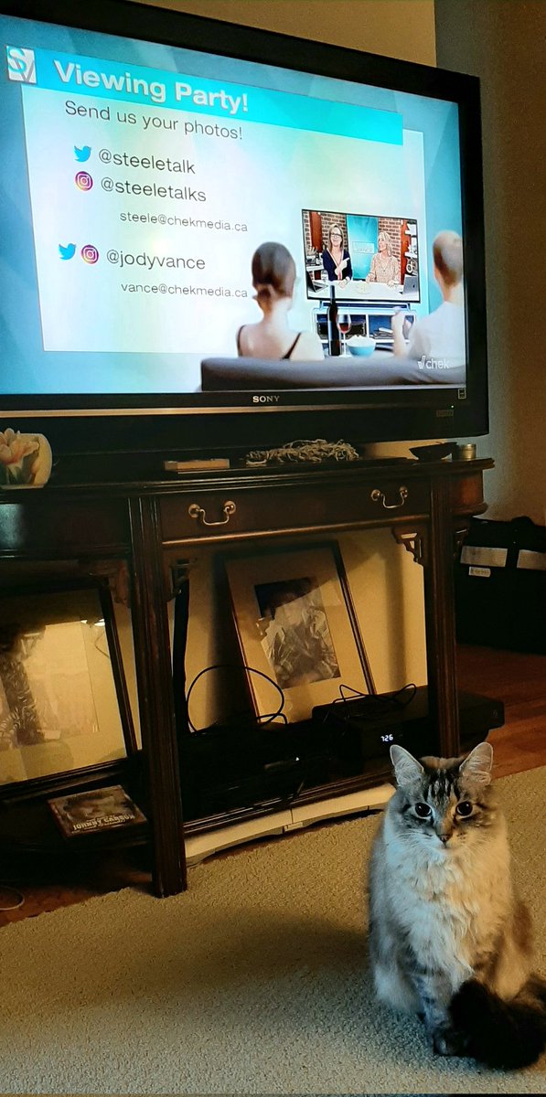 Barbie Zipp tweet media