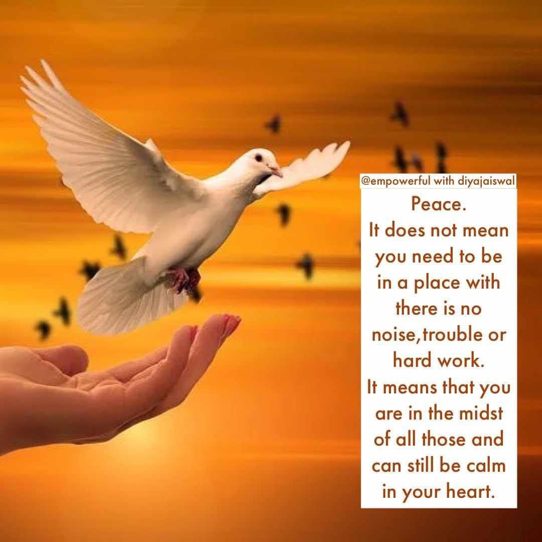 empowerful_diya's tweet photo. https://t.co/IDjktTdj8k