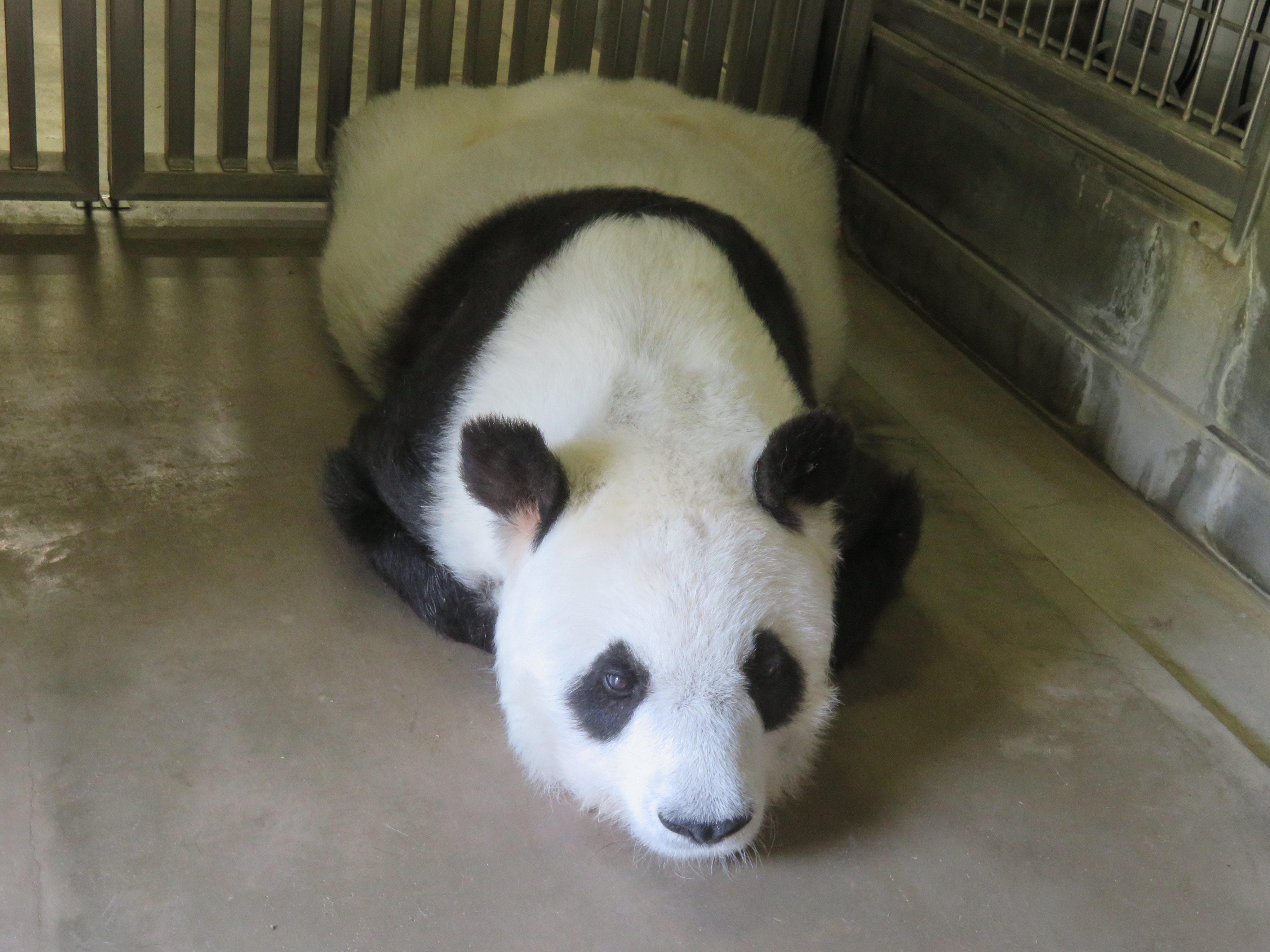 たんたんさん。ご確認お願いいたします♡