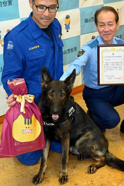 警察犬がお手柄！ 行方不明の70だい男性を発見！