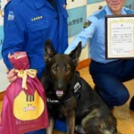 警察犬がお手柄! 行方不明の70だい男性を発見!