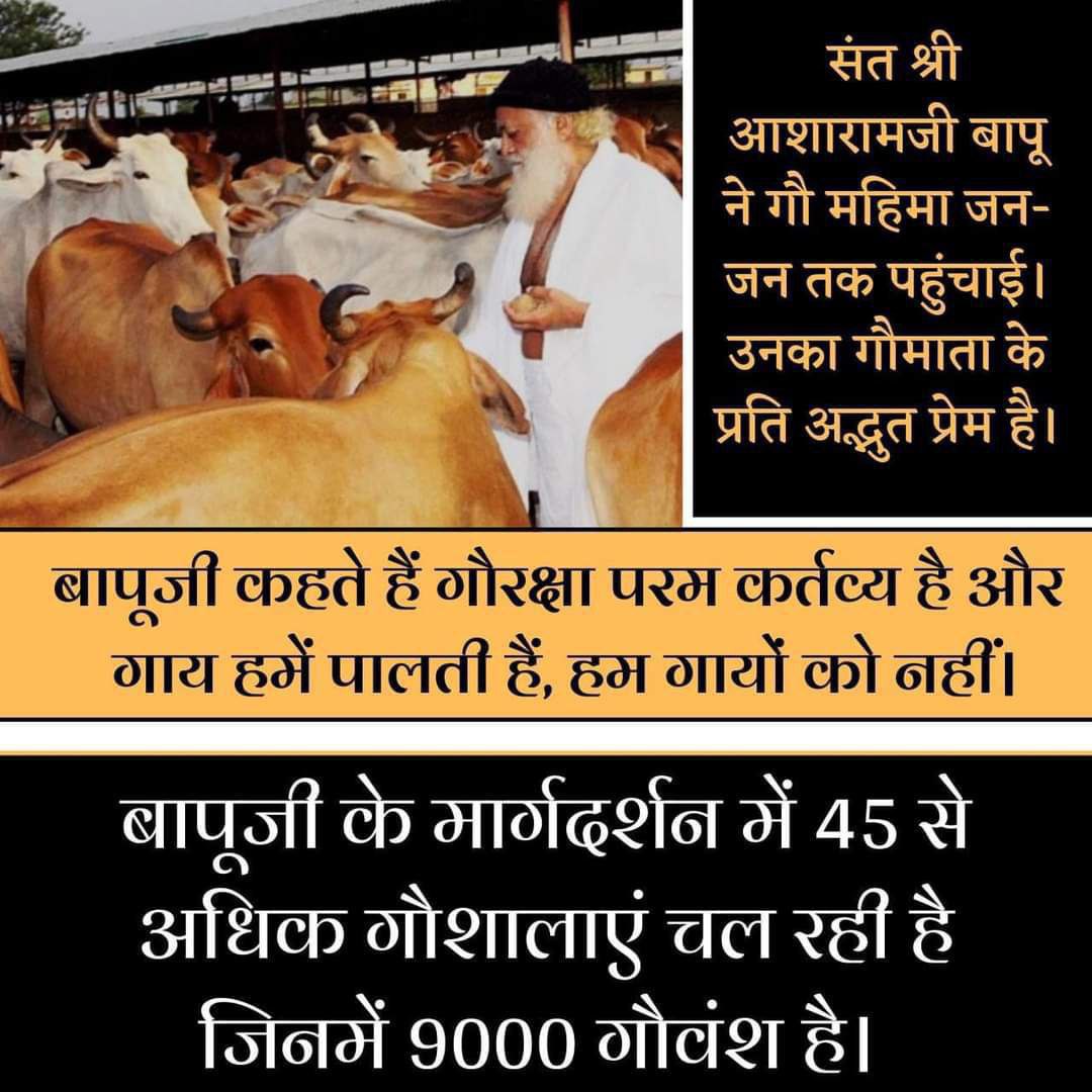 Asharamjiashram's tweet photo. Sant Shri Asharamji Bapu is Saviour for Cows who has saved millions of cows from Slaughter Houses. While exalting Benefits of Desi Gaay, Bapuji says 
#गावो_विश्वस्य_मातरः &amp; inspires everyone to protect Gau Mata whose Milk in all forms is धरती का अमृत . https://t.co/a19EfAGUuL