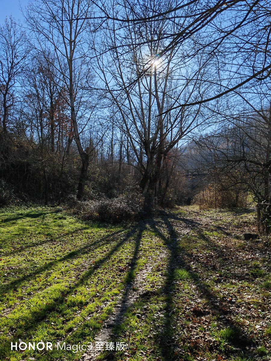 fabrizio_degni's tweet photo. Shooting with the Honor Magic3 Pro+
#HONORMagic3 #Weekend #Honor #HONORMagic #nature https://t.co/avchutyf1O
