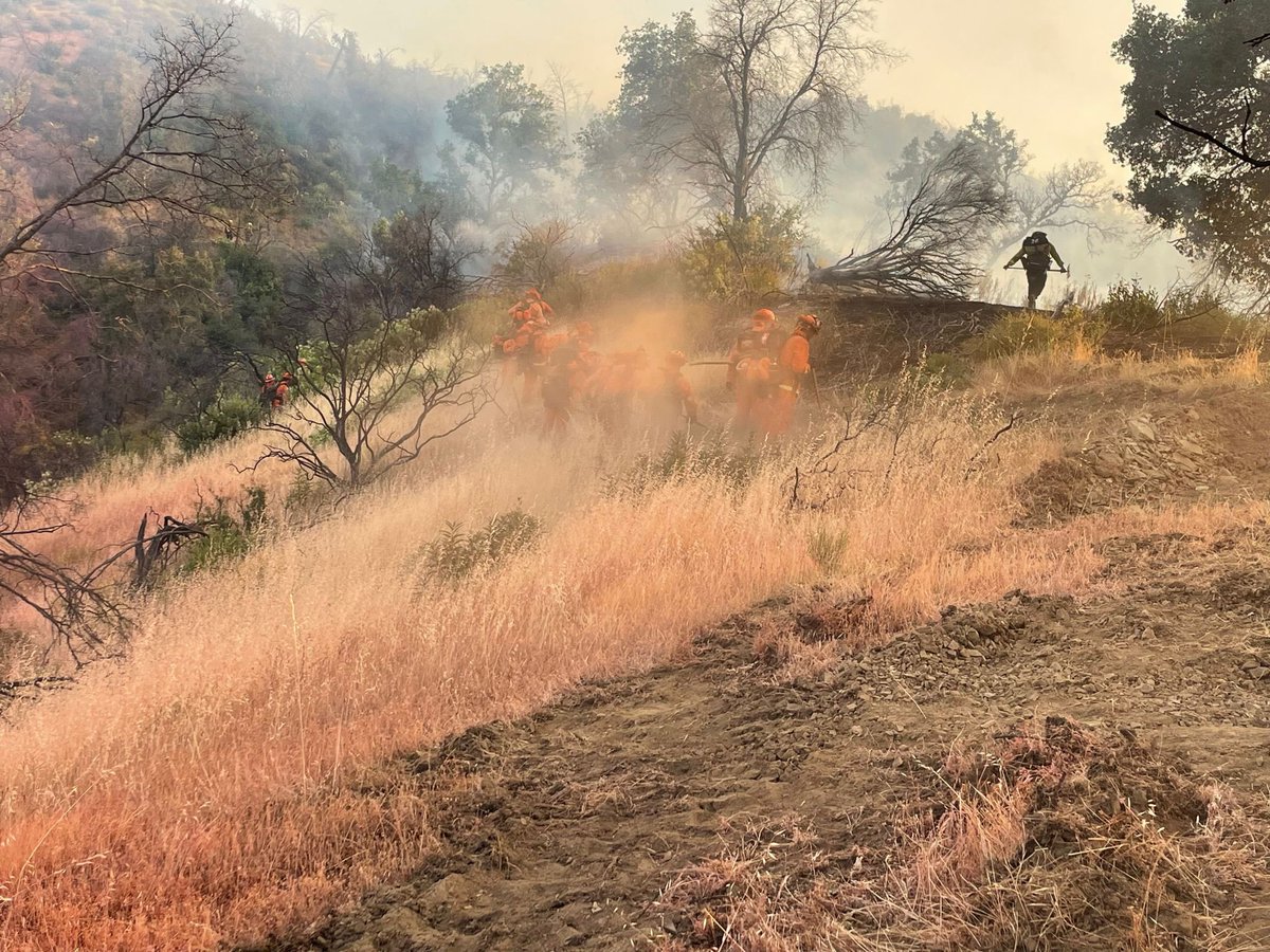 CALFIRELNU's tweet photo. #SnellFire - UPDATE - Firefighters from CAL FIRE LNU, Napa County Fire, and South Lake County FPD are working extremely hard and making great progress. The fire is currently 103 acres and forward progress as been stopped. https://t.co/hbGThKkvvt