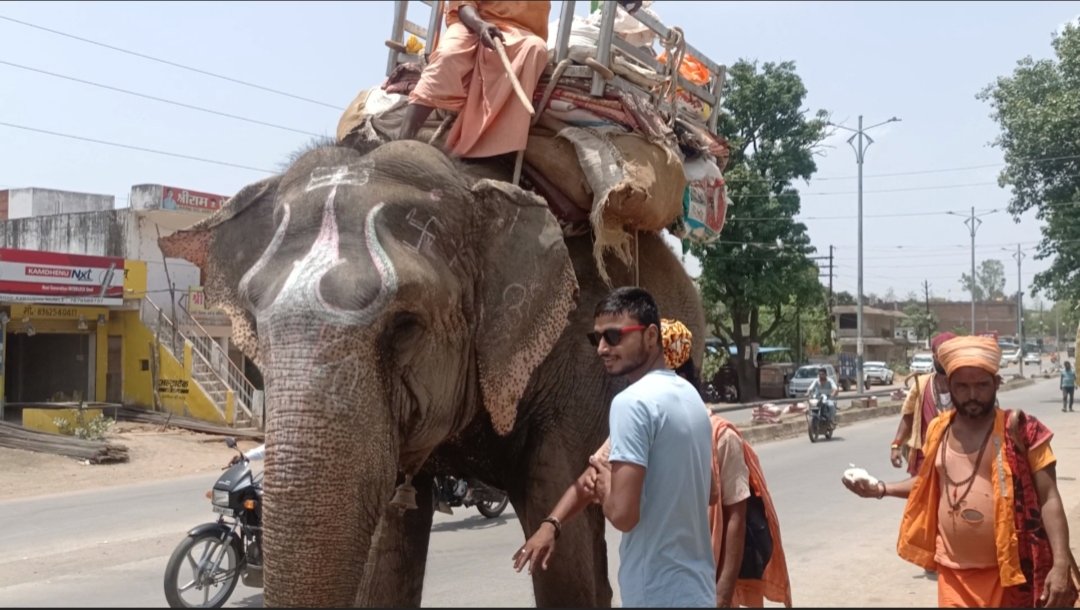 IndiaSelfNews's tweet photo. Picture Of The Day 🙏 Gajraj Ke Hue Darshan 🙏 #gajraj #indiaselfnews #nature #photooftheday https://t.co/AxsnpY4BSE