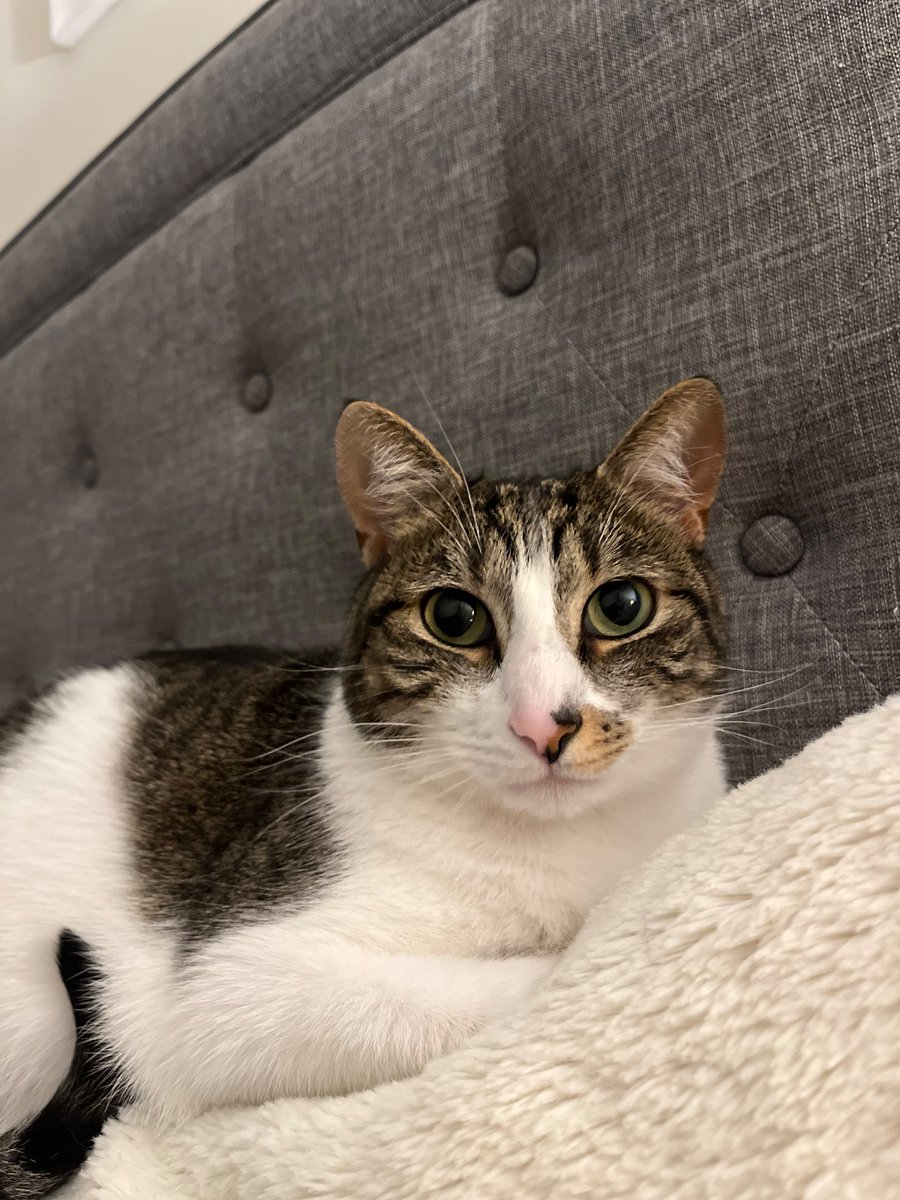 RECHingball's tweet photo. Taking photos of my son in portrait mode because he’s perfect 🥹 https://t.co/EW1FuJLgo3