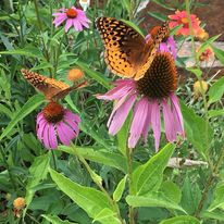 Peter Thomas (@johntho86713396) on Twitter photo 