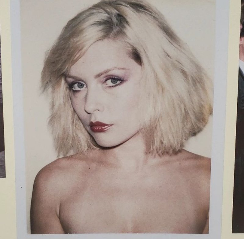 debbie harry is featured in (another) andy warhol exhibition in cleve carney museum of art in chicago.