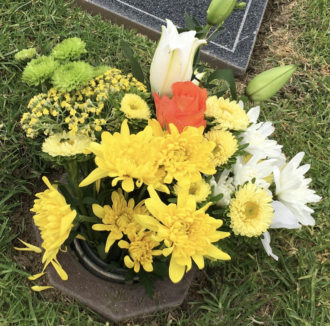 10butterflys's tweet photo. Beautiful flowers for Dad and Mom…. Happy Father’s Day Dad! #loveyouboth #missingyouboth ♥️ https://t.co/TISaceD0by