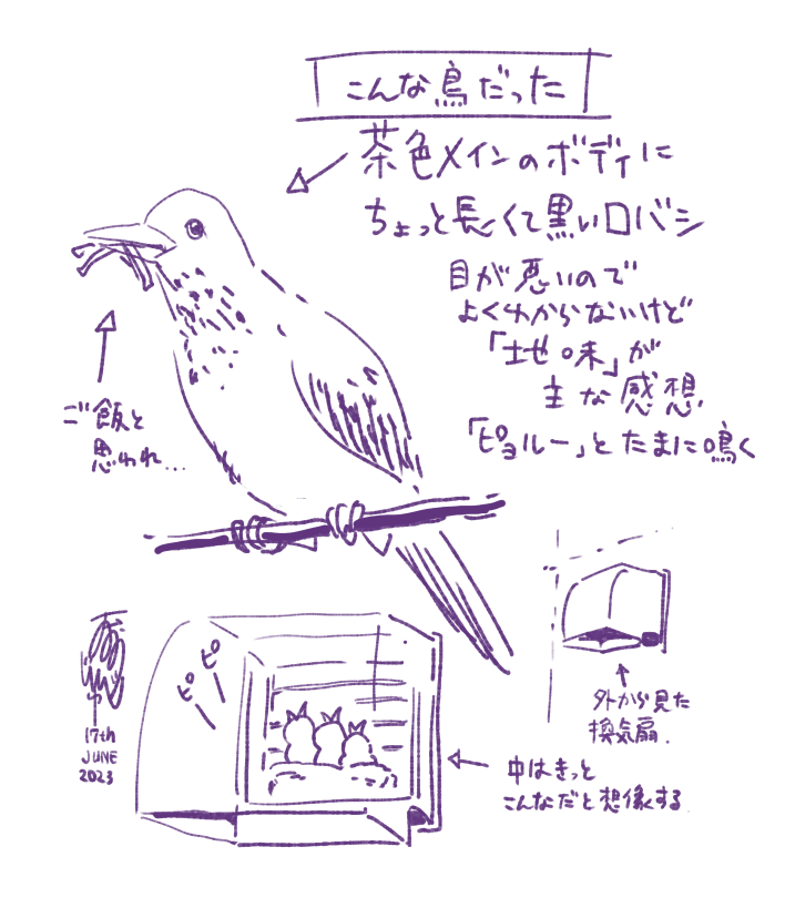 こんな感じだった。こういう時、目が悪いことが悔やまれる。 