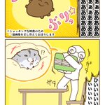 ハムスターはあの生き物より速い･･･？!部屋にゴキブリが出たときのお話を描いたハムスター漫画!