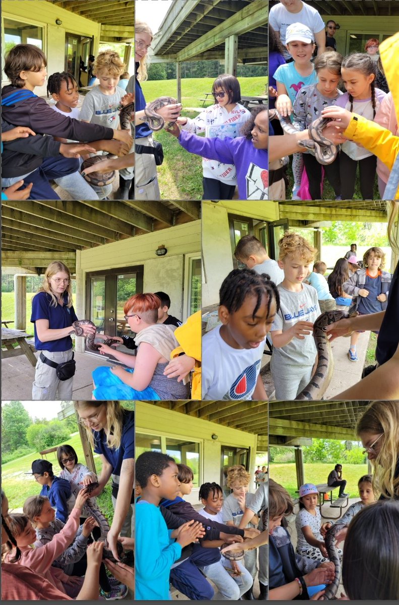 MsOwensCardinal's tweet photo. Fantastic trip back to Laurel Creek.  @grandriverparks @JSCardinals https://t.co/QMg33HKcHl