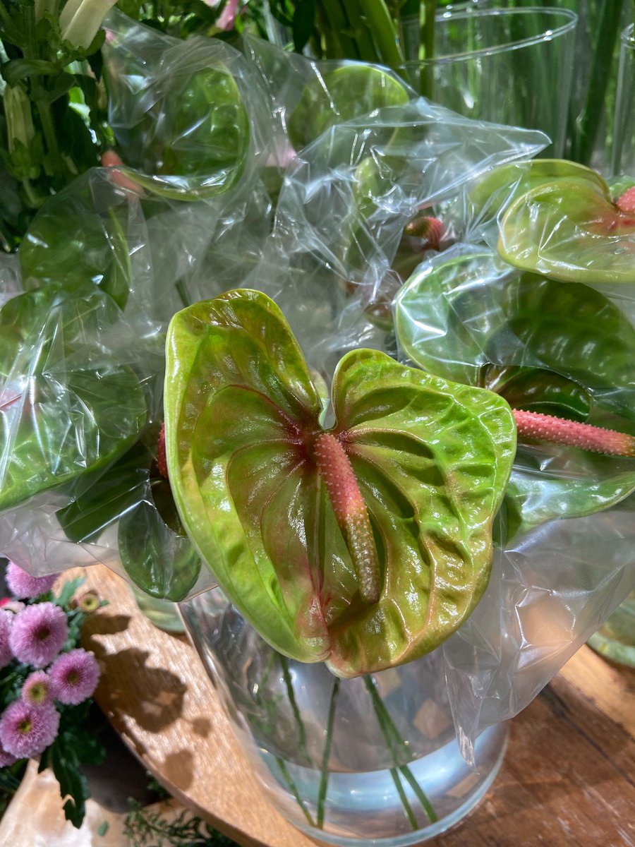 Super leuke bloemen binnen gekregen🌹  

#bloemen #duurzaam #maassluis